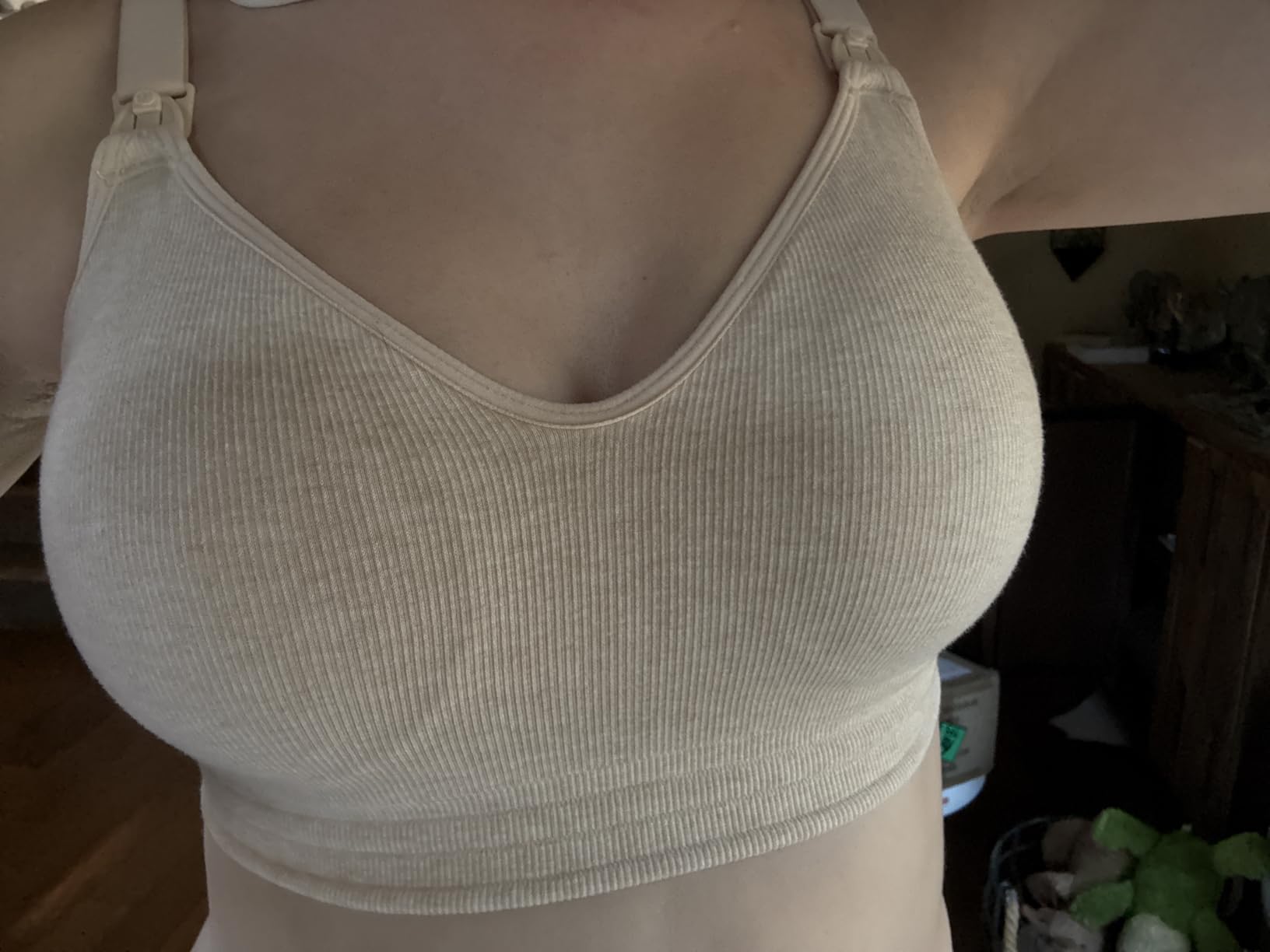 Best nursing bras