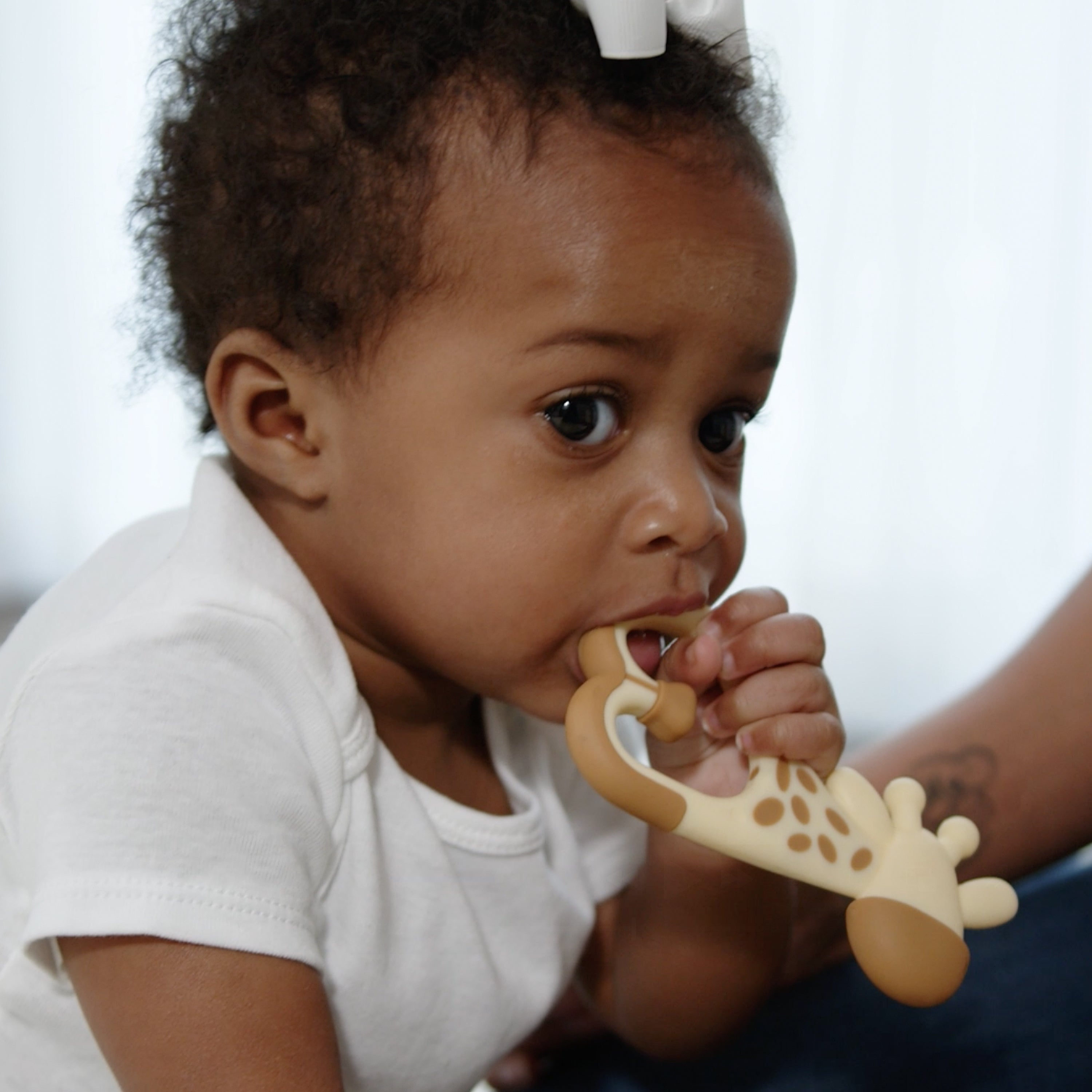 dr-brown-s-ridgees-giraffe-teether image 4