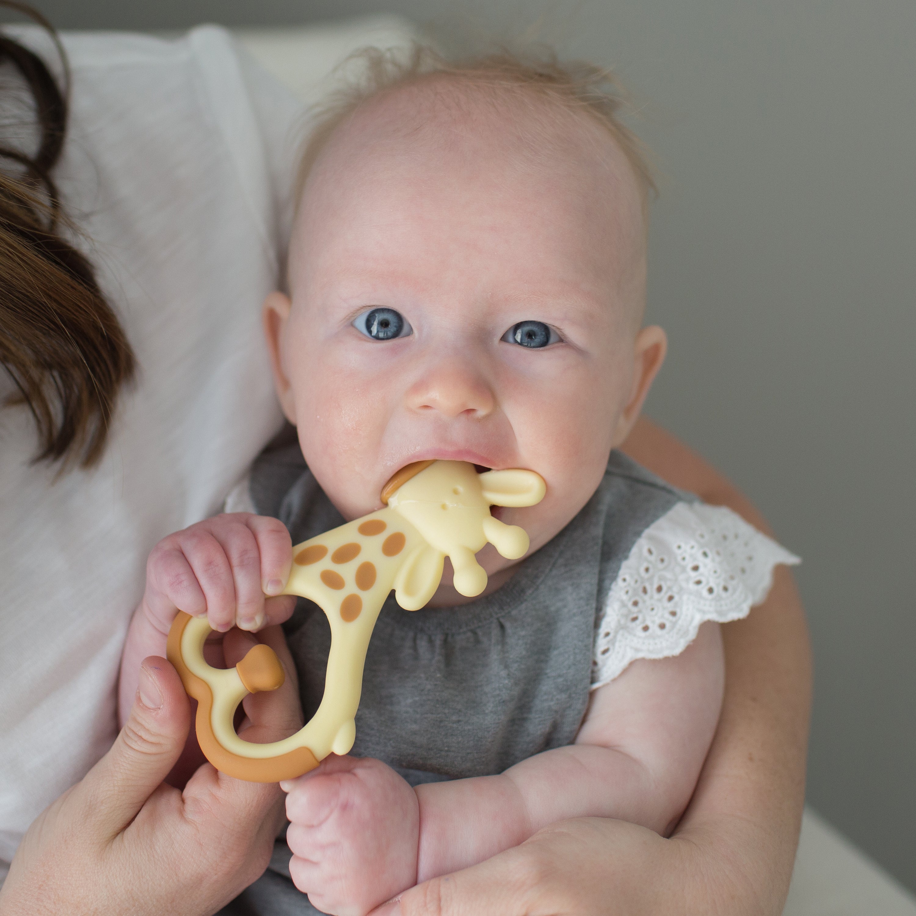 dr-brown-s-ridgees-giraffe-teether image 7